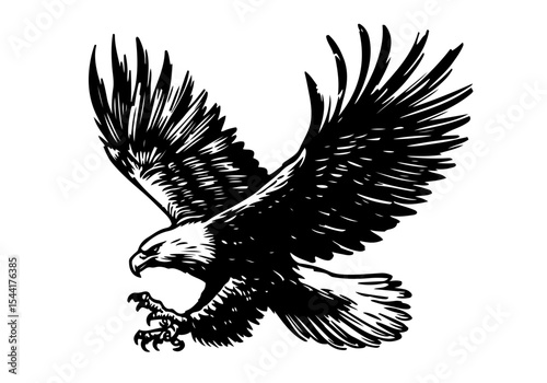 Bald Eagle hand drawn sketch vector illustration
