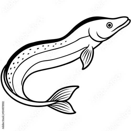 Lungfish Vector on White Background