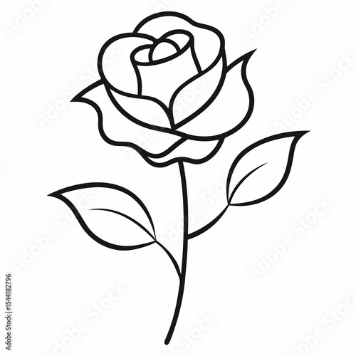 Rose of Sharon flower on white background 