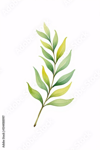 Botanical Green Leaf: Artistic Watercolor Illustration for Design.