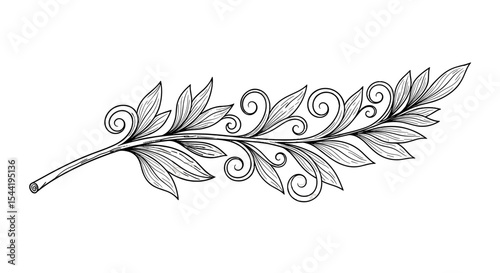 Leafy Embellishment: A beautifully hand-drawn image showcases an ornamental plant branch, featuring delicate leaves and graceful swirls, perfect for adding a touch of nature's elegance to any design.