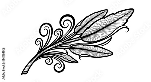 Decorative Leaf Branch: An ornate leaf branch with curls in intricate black and white line art design.