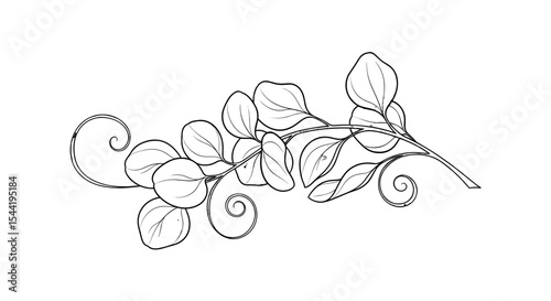 Floral Grace in Silhouette: A delicate and elegant botanical illustration of leaves in intricate line art, embodying nature's refined aesthetics. 