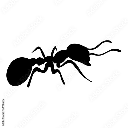 black ant vector