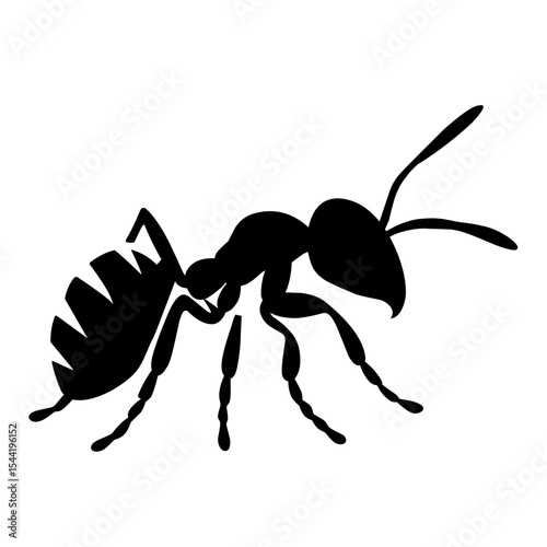black ant vector