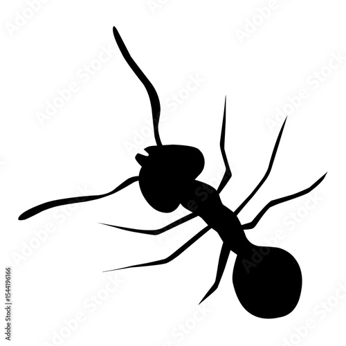 black ant vector