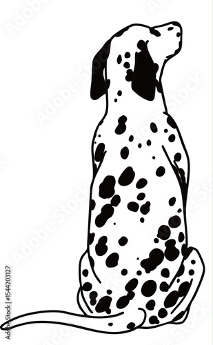 ダルメシアン　dalmatian　犬のイラスト　白黒