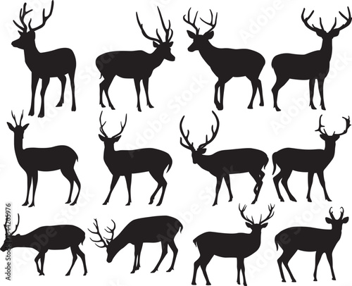 Deer, Deer Hunting, Hunter, Hunting Season