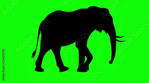 Animated side view of elephant silhouette walking on a green screen. Concept of animal, cartoon, wildlife and nature, Generative AI