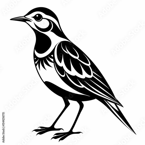 Eastern Meadowlark silhouette vector black on white background