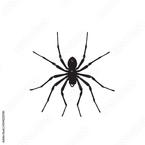 Detailed Spider Silhouette in Black Vector