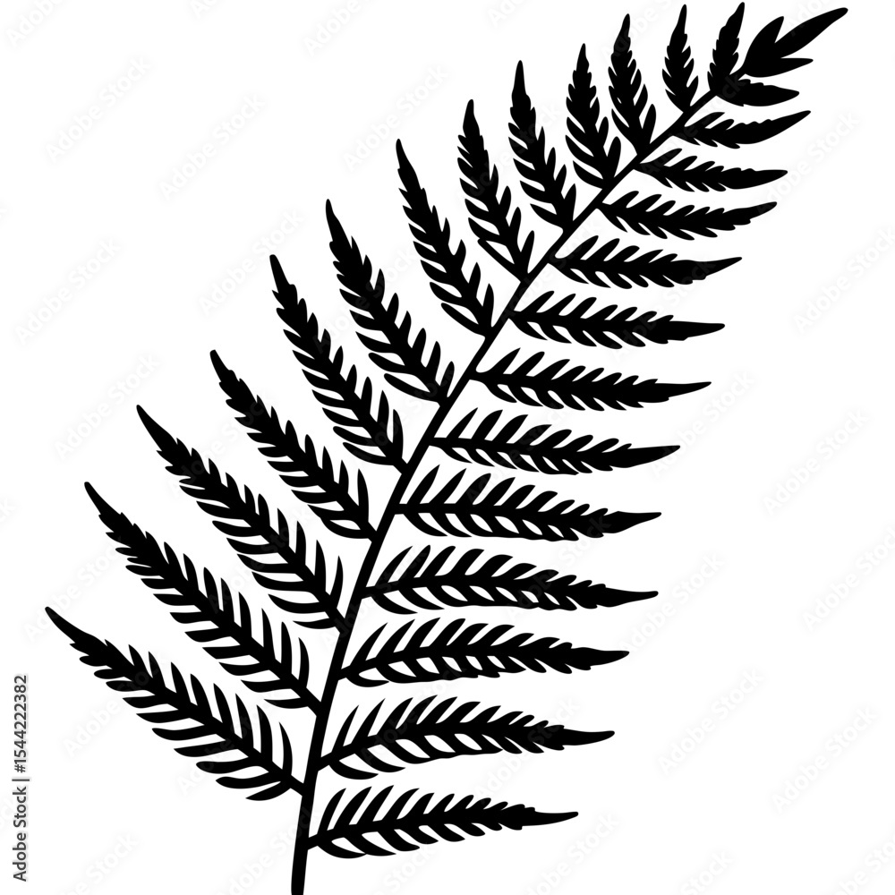 Clean Fern Illustration Clean Fern Illustration