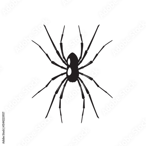 Silhouette of a Spider with Long Legs on White