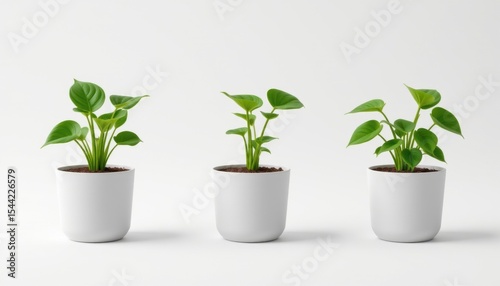 single eco friendly plant pot made from recycled plastic pot, containing a pothos, isolated on white background, minimalist product shot, soft studio lighting, realistic 3d render, 8k resolution