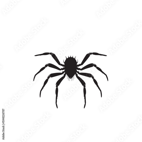 Realistic Eight-Legged Spider Silhouette