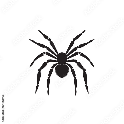 Isolated Spider Graphic for Nature Illustration
