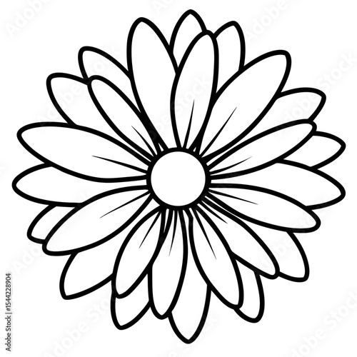 Simple Daisy Vector on White Background