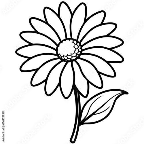 Simple Daisy Vector on White Background