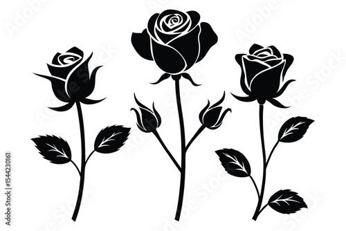 Black and White Illustration of Three Rose Flowers with Stems and Leaves