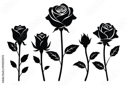 Black and White Rose Silhouettes, Flowers, Stems, and Leaves