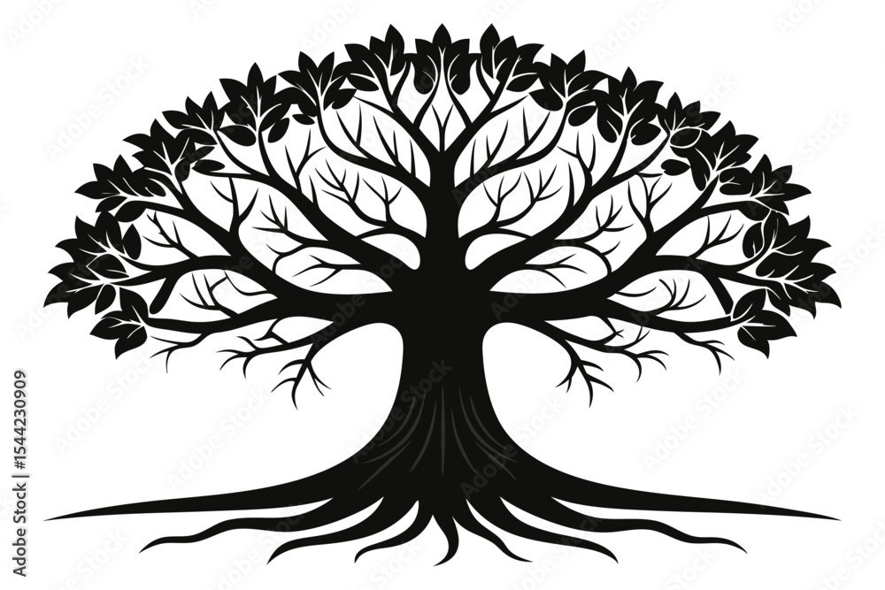 Fototapeta premium Black Silhouette Tree Branching Canopy, Detailed Roots, Isolated on White Background