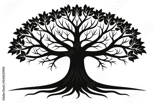 Black Silhouette Tree Branching Canopy, Detailed Roots, Isolated on White Background