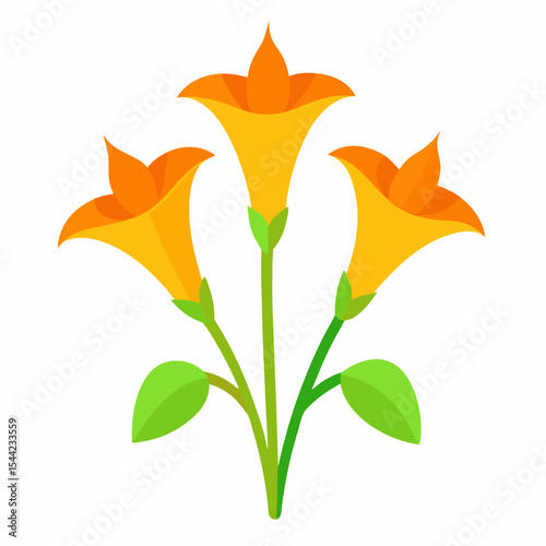 a cluster of three ash leaved trumpet-flower isolated