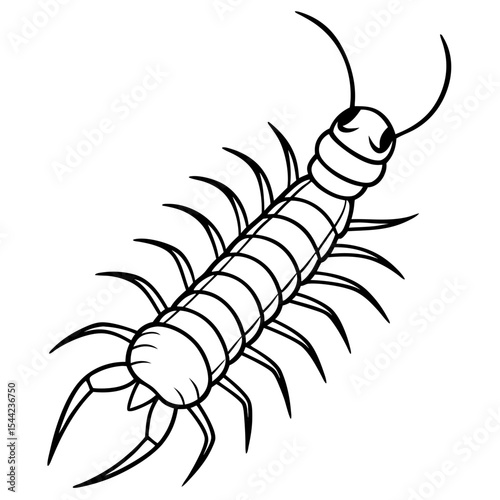 Minimal Centipede Vector Illustration