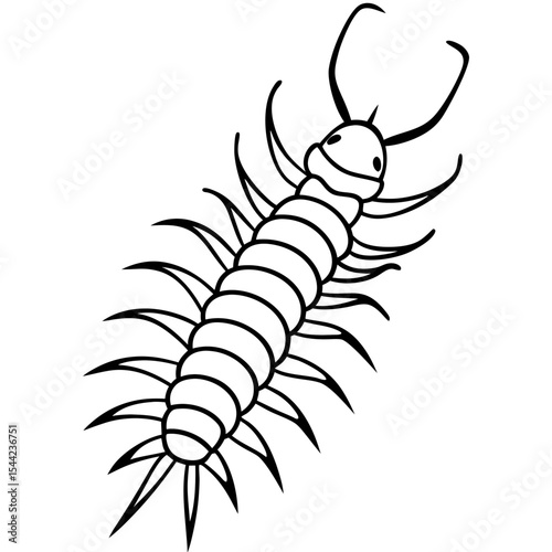 Minimal Centipede Vector Illustration