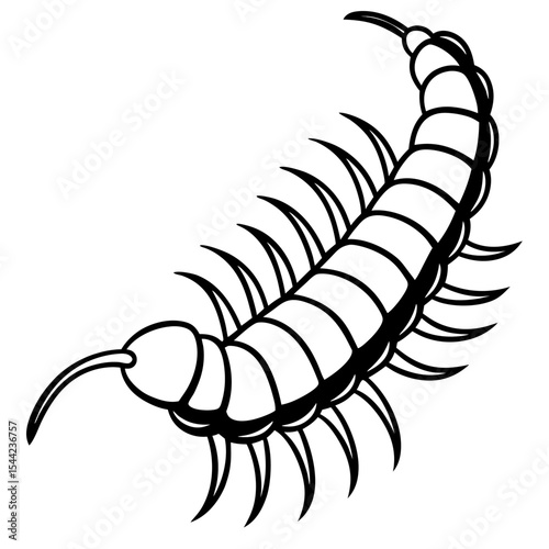 Minimal Centipede Vector Illustration