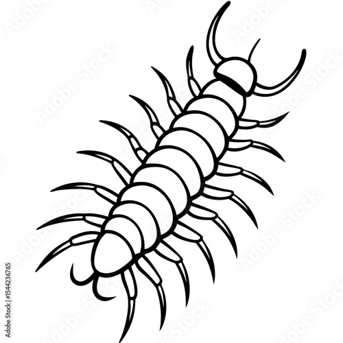 Minimal Centipede Vector Illustration