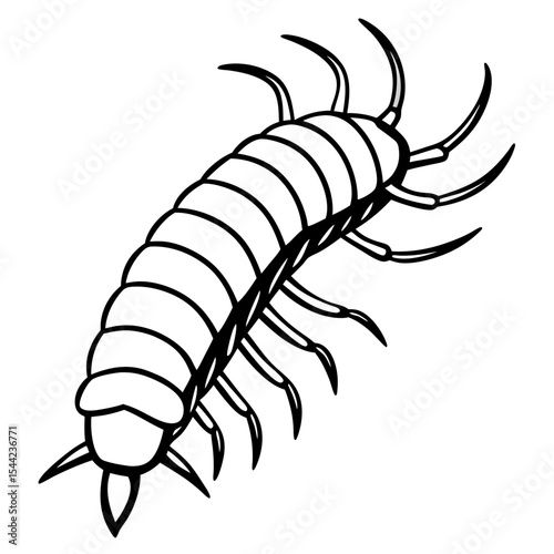 Minimal Centipede Vector Illustration