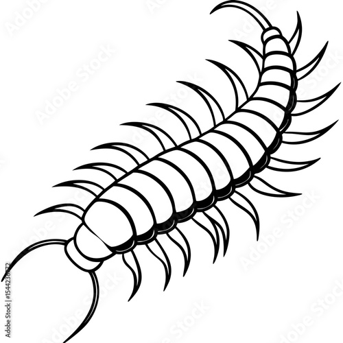 Minimal Centipede Vector Illustration