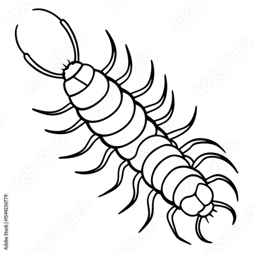 Minimal Centipede Vector Illustration