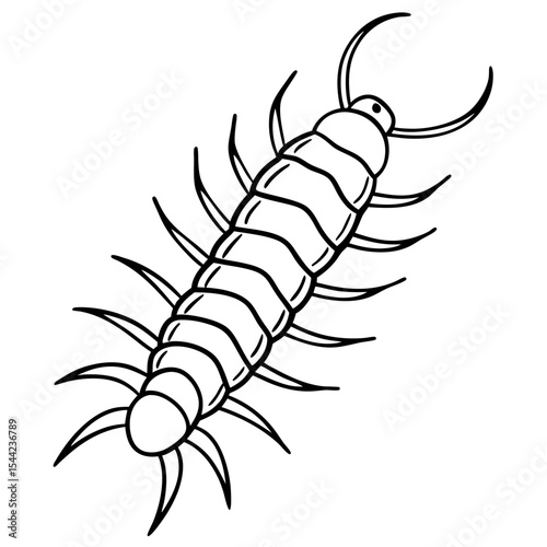 Minimal Centipede Vector Illustration