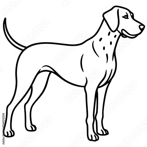 Cesky Fousek Silhouette Illustration