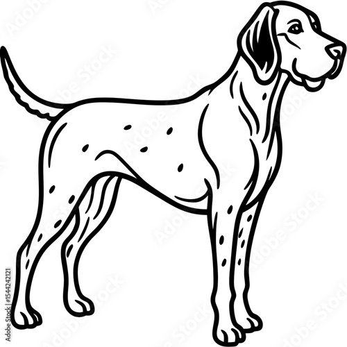 Cesky Fousek Silhouette Illustration