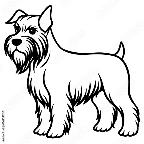 Cesky Fousek Silhouette Illustration