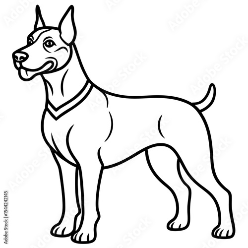 Cesky Fousek Silhouette Illustration