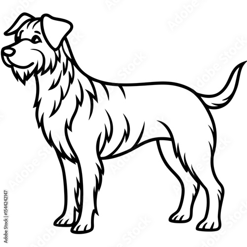 Cesky Fousek Silhouette Illustration