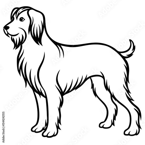 Cesky Fousek Silhouette Illustration