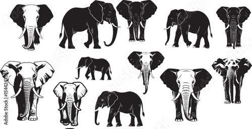 Elephant Silhouette Collection Vector Illustration