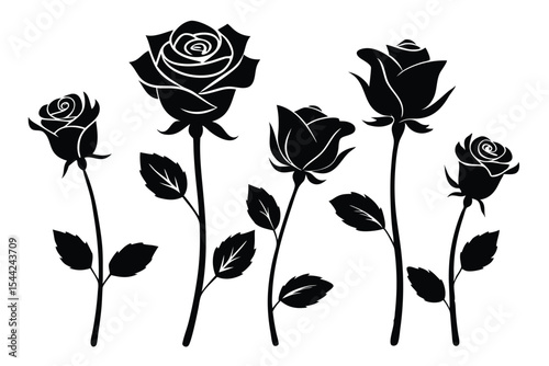 Elegant Black Rose Silhouettes Floral Design with Stems and Leaves on White