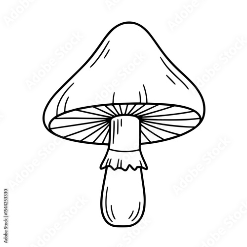 Cute Mushrooms Line Art