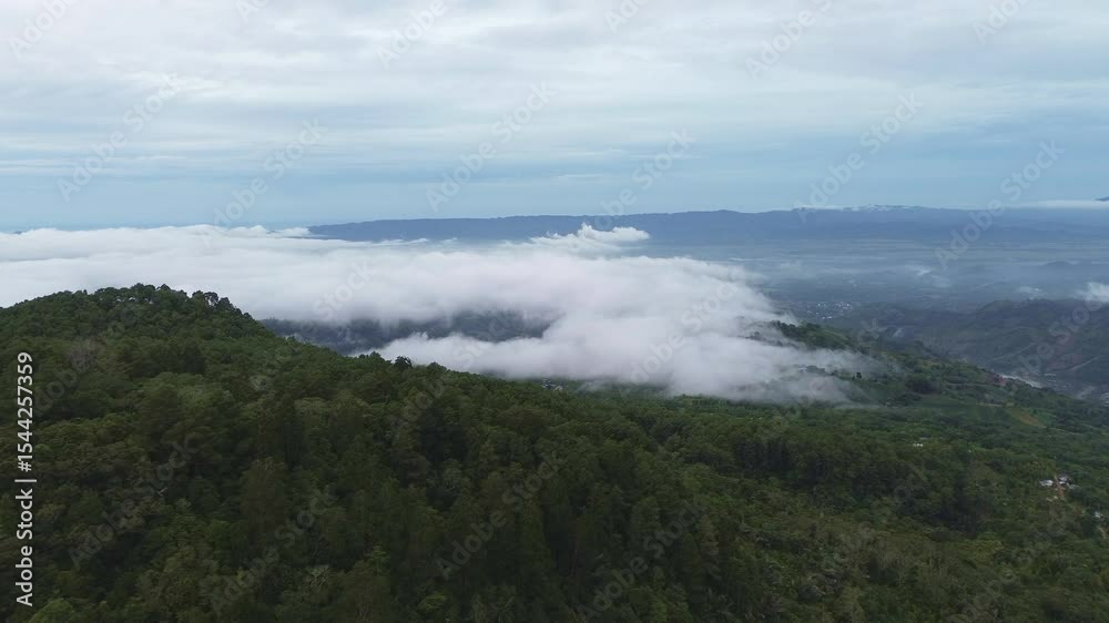 Foggy Mountain Forest Landscape Under Overcast Sky Foggy Mountain Forest Landscape Under Overcast Sky