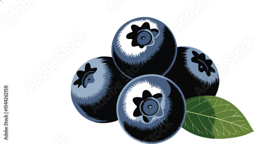 A close up illustration of blueberries with a leaf on a white background