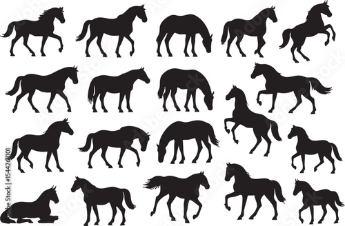 Silhouettes of horses displaying various movements on a white background