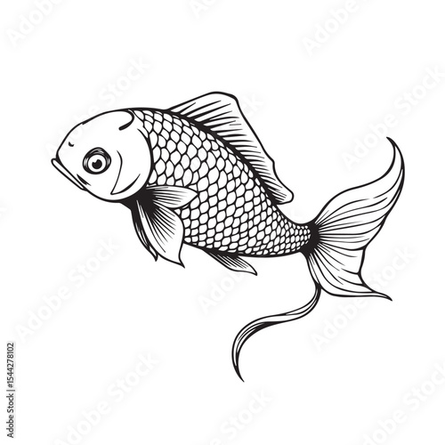 Elegant koi fish silhouette illustration in hand drawn style