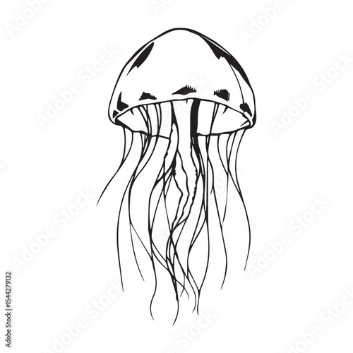 Elegant jellyfish silhouette ink drawing illustration