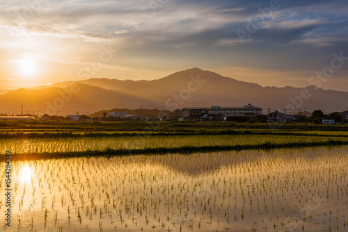 夕暮れの平塚郊外の水田と丹沢山脈
